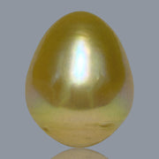 Giant Oval 14.1 x 17.5mm 23.7 Carats Deep Gold South Sea Pearl Loose