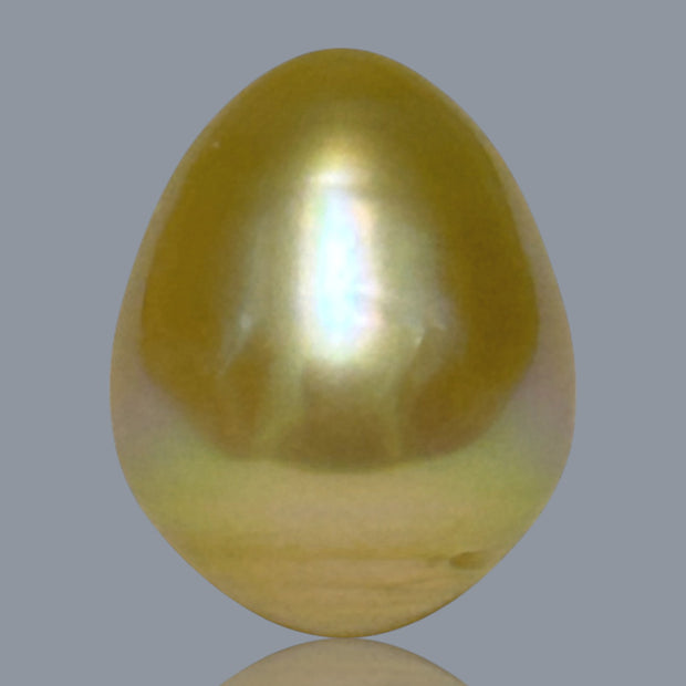 Giant Oval 14.1 x 17.5mm 23.7 Carats Deep Gold South Sea Pearl Loose