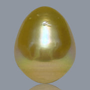 Giant Oval 14.1 x 17.5mm 23.7 Carats Deep Gold South Sea Pearl Loose