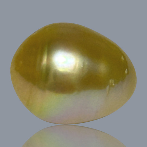 Giant Oval 14.1 x 17.5mm 23.7 Carats Deep Gold South Sea Pearl Loose