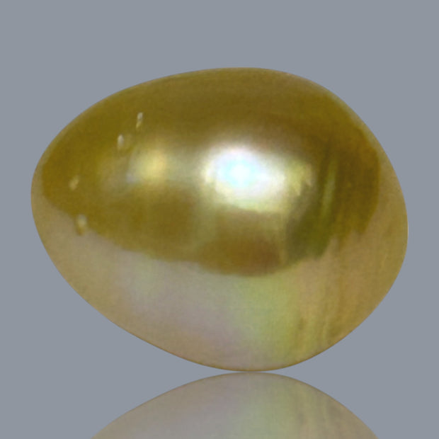 Giant Oval 14.1 x 17.5mm 23.7 Carats Deep Gold South Sea Pearl Loose