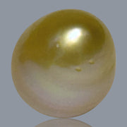 Giant Oval 14.1 x 17.5mm 23.7 Carats Deep Gold South Sea Pearl Loose