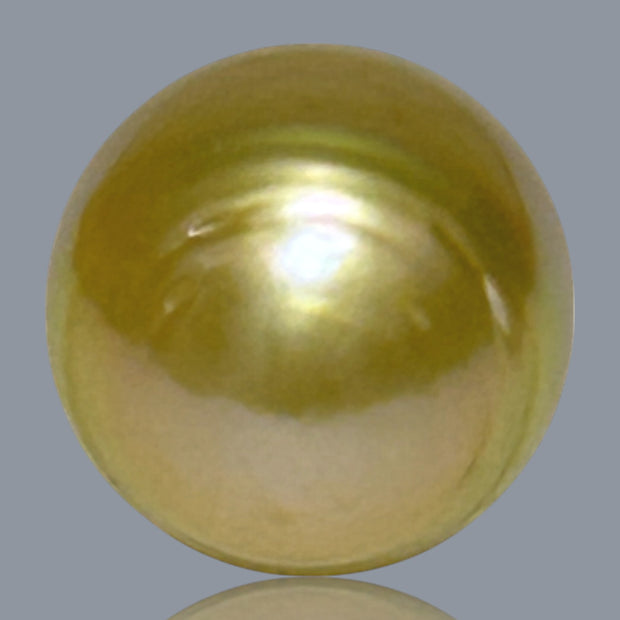 Giant Oval 14.1 x 17.5mm 23.7 Carats Deep Gold South Sea Pearl Loose