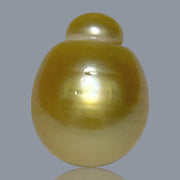 Giant Oval 13.5 x 17.5mm 21.2 Carats Deep Gold South Sea Pearl Loose