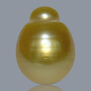 Giant Oval 13.5 x 17.5mm 21.2 Carats Deep Gold South Sea Pearl Loose