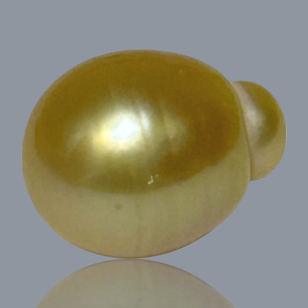 Giant Oval 13.5 x 17.5mm 21.2 Carats Deep Gold South Sea Pearl Loose