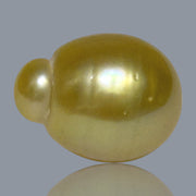 Giant Oval 13.5 x 17.5mm 21.2 Carats Deep Gold South Sea Pearl Loose