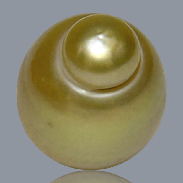 Giant Oval 13.5 x 17.5mm 21.2 Carats Deep Gold South Sea Pearl Loose