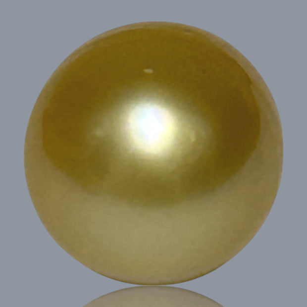 Giant Oval 13.5 x 17.5mm 21.2 Carats Deep Gold South Sea Pearl Loose