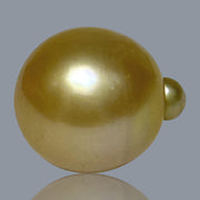 Giant Oval 15.5 x 18.3mm 28.7 Carats Rich Gold South Sea Pearl Loose