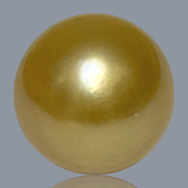 Giant Oval 15.5 x 18.3mm 28.7 Carats Rich Gold South Sea Pearl Loose