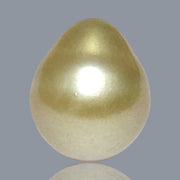 5A Smooth Giant 13.7 x 16mm 20.5 Carats Rich Gold South Sea Pearl