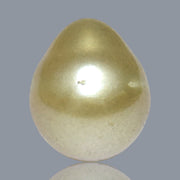 5A Smooth Giant 13.7 x 16mm 20.5 Carats Rich Gold South Sea Pearl