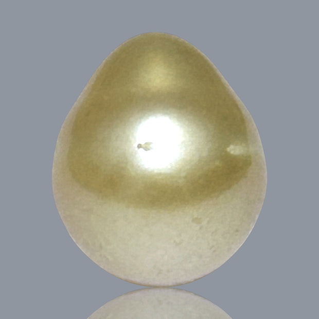 5A Smooth Giant 13.7 x 16mm 20.5 Carats Rich Gold South Sea Pearl