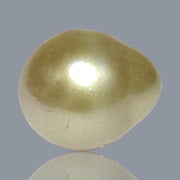 5A Smooth Giant 13.7 x 16mm 20.5 Carats Rich Gold South Sea Pearl