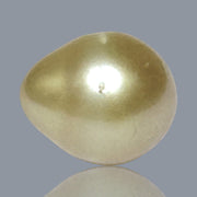 5A Smooth Giant 13.7 x 16mm 20.5 Carats Rich Gold South Sea Pearl