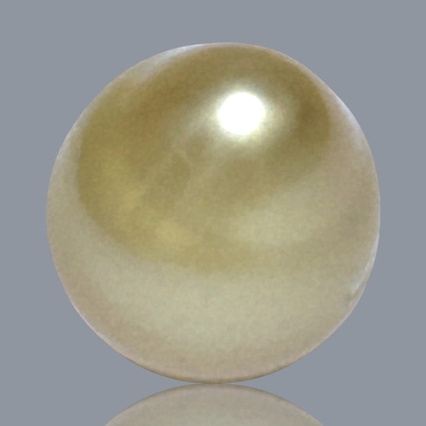 5A Smooth Giant 13.7 x 16mm 20.5 Carats Rich Gold South Sea Pearl