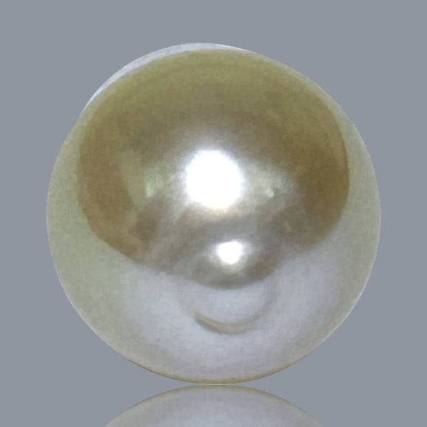 Baroque 11.8 x 13.7mm 14 Carats Natural Gold South Sea Pearl Loose