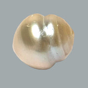 RARE Baroque 15.8 x 17.6mm 28.6 Carat Gold South Sea Pearl Loose