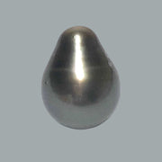 Oval 13.7 x 17.8mm 21.6 Carat Tahitian Peacock Grey Green Pearl