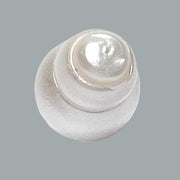 Baroque 15 x 23.3mm 33.2 Carats White South Sea Pearl Loose Un-Drilled