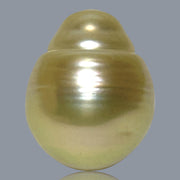 Teardrop 12.8 x 16mm 17.4 Carats Natural Gold South Sea Loose Pearl