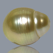 Teardrop 12.8 x 16mm 17.4 Carats Natural Gold South Sea Loose Pearl