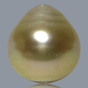 Teardrop 13.6 x 14.8mm 18.5 Carat Natural Gold South Sea Loose Pearl