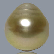 Teardrop 13.6 x 14.8mm 18.5 Carat Natural Gold South Sea Loose Pearl