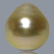 Teardrop 13.6 x 14.8mm 18.5 Carat Natural Gold South Sea Loose Pearl