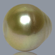 Teardrop 13.6 x 14.8mm 18.5 Carat Natural Gold South Sea Loose Pearl