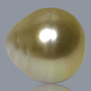 Teardrop 13.6 x 14.8mm 18.5 Carat Natural Gold South Sea Loose Pearl