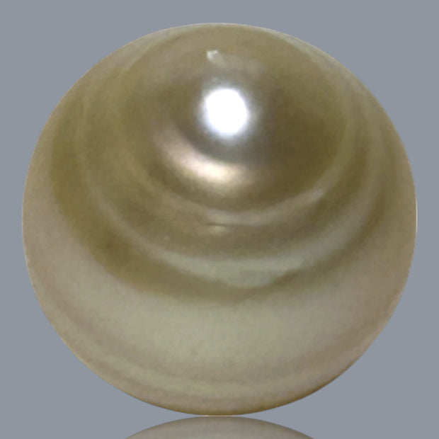 Teardrop 13.6 x 14.8mm 18.5 Carat Natural Gold South Sea Loose Pearl