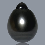 Dazzling 12.7 x 16.8mm 18.3 Carats Tahitian Peacock Black Green Pearl