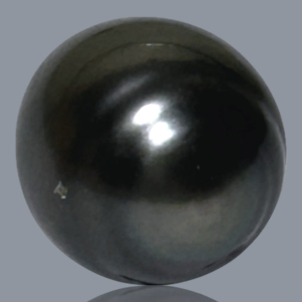 Dazzling 12.7 x 16.8mm 18.3 Carats Tahitian Peacock Black Green Pearl