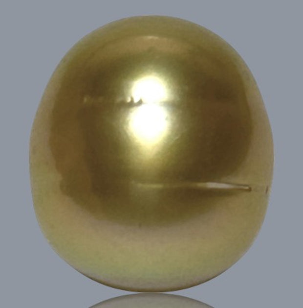 Smooth Oval 12.4 x 14mm 17 Carats Rich Gold South Sea Loose Pearl