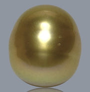 Smooth Oval 12.4 x 14mm 17 Carats Rich Gold South Sea Loose Pearl