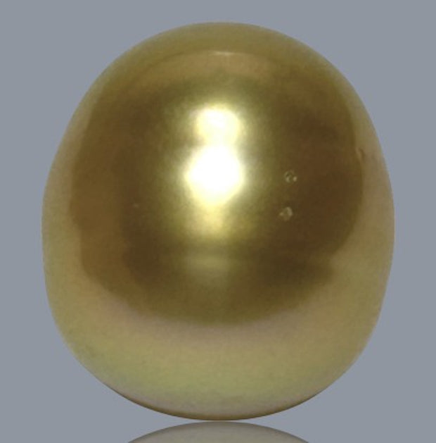 Smooth Oval 12.4 x 14mm 17 Carats Rich Gold South Sea Loose Pearl