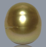 Smooth Oval 12.4 x 14mm 17 Carats Rich Gold South Sea Loose Pearl