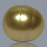 Smooth Oval 12.4 x 14mm 17 Carats Rich Gold South Sea Loose Pearl