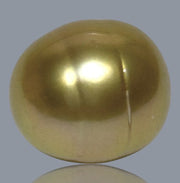 Smooth Oval 12.4 x 14mm 17 Carats Rich Gold South Sea Loose Pearl