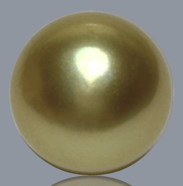 Smooth Oval 12.4 x 14mm 17 Carats Rich Gold South Sea Loose Pearl