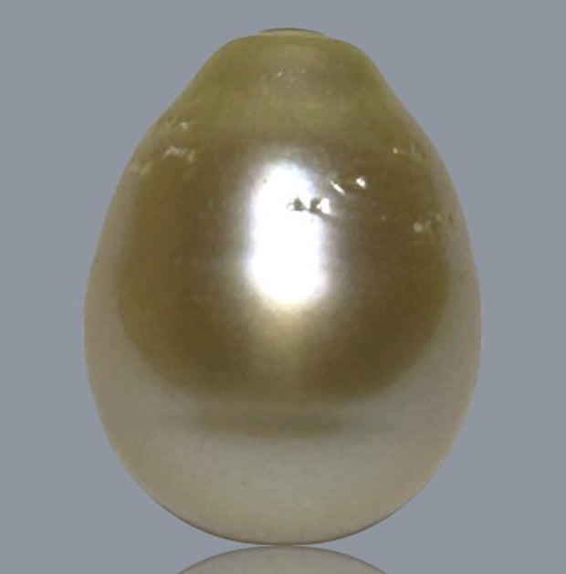 Oval Drop 12.4 x 16mm 17.2 Carats Gold Philippines Sea Loose Pearl