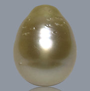 Oval Drop 12.4 x 16mm 17.2 Carats Gold Philippines Sea Loose Pearl