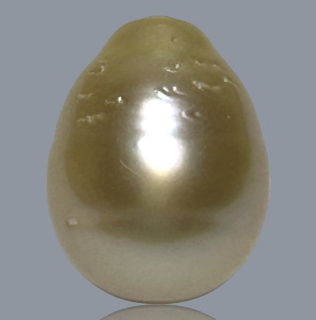 Oval Drop 12.4 x 16mm 17.2 Carats Gold Philippines Sea Loose Pearl