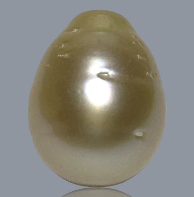 Oval Drop 12.4 x 16mm 17.2 Carats Gold Philippines Sea Loose Pearl