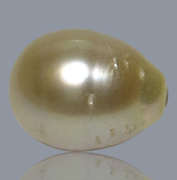 Oval Drop 12.4 x 16mm 17.2 Carats Gold Philippines Sea Loose Pearl