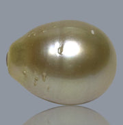 Oval Drop 12.4 x 16mm 17.2 Carats Gold Philippines Sea Loose Pearl