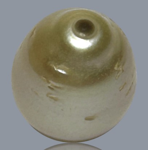 Oval Drop 12.4 x 16mm 17.2 Carats Gold Philippines Sea Loose Pearl