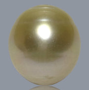 Giant 15 x 16.6mm 26.8 Carats Natural Gold South Sea Loose Pearl